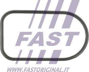 Fast FT49425 - Brtva, usisna grana www.molydon.hr