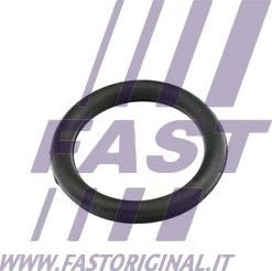 Fast FT49420 - Brtva, usisna grana www.molydon.hr