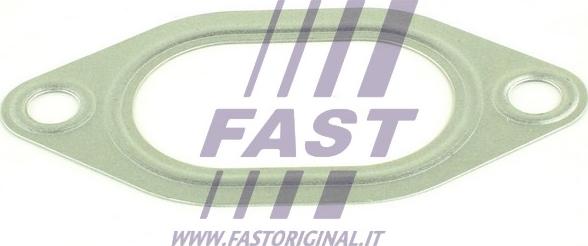 Fast FT49427 - Brtva, usisna grana www.molydon.hr