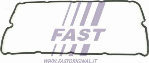 Fast FT49011 - Brtva, poklopac glave cilindra www.molydon.hr