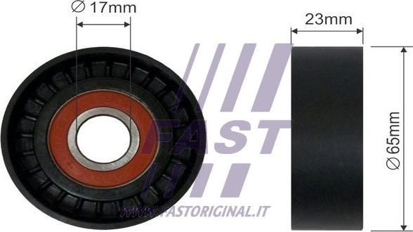 Fast FT44545 - Vodeći valjak , klinasti rebrasti remen  www.molydon.hr