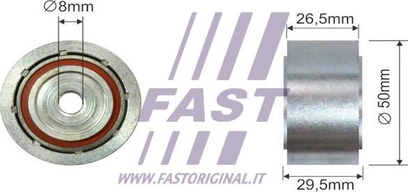 Fast FT44555 - Vodeći valjak , klinasti rebrasti remen  www.molydon.hr