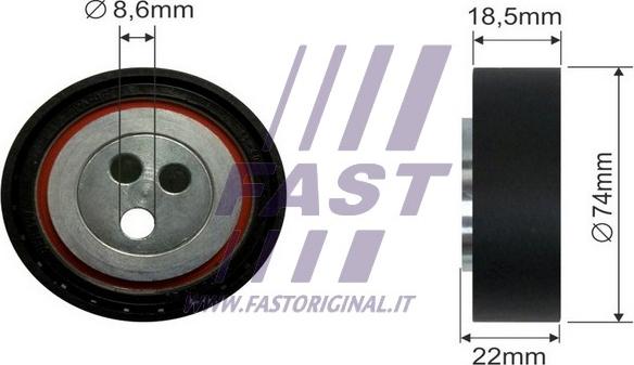 Fast FT44587 - Vodeći valjak , klinasti rebrasti remen  www.molydon.hr
