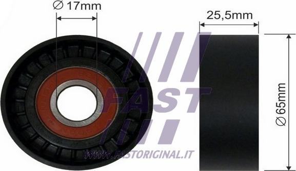 Fast FT44536 - Vodeći valjak , klinasti rebrasti remen  www.molydon.hr