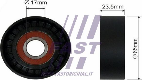 Fast FT44521 - Vodeći valjak , klinasti rebrasti remen  www.molydon.hr