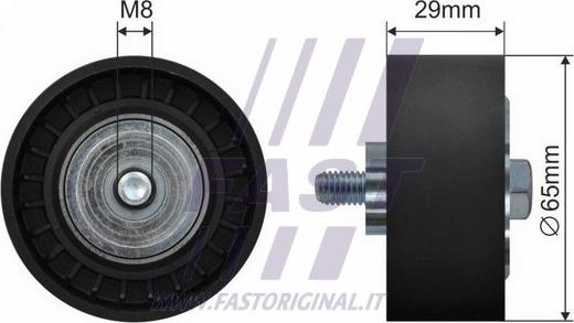 Fast FT44523 - Vodeći valjak , klinasti rebrasti remen  www.molydon.hr