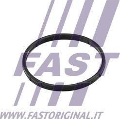 Fast FT50602 - Brtva, EGR-ventil (ventil za recirkulaciju ispuh.plinova) www.molydon.hr