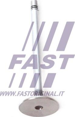 Fast FT50135 - Usisni ventil www.molydon.hr