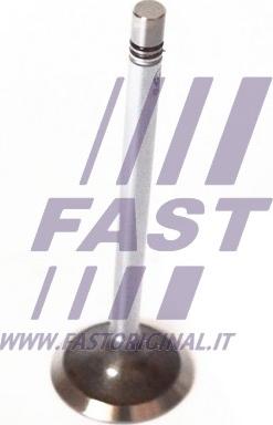 Fast FT50135 - Usisni ventil www.molydon.hr