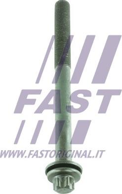 Fast FT51502 - Vijak za pričvršćivanje glave cilindra www.molydon.hr