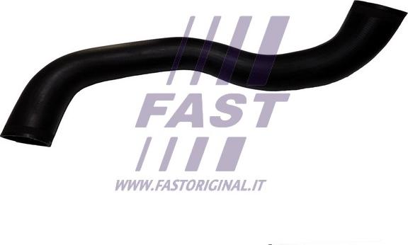 Fast FT61548 - Crijevo interkulera www.molydon.hr