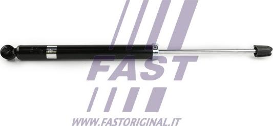 Fast FT11074 - Amortizer www.molydon.hr