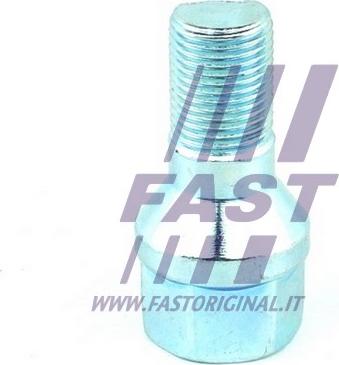 Fast FT21523 - Brezon ( pržonjera) www.molydon.hr
