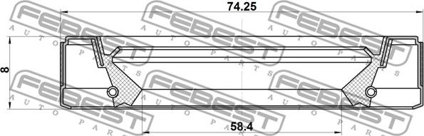 Febest 95GEY-60740808C - Radijalni Brtveni prsten (semering), diferencijal www.molydon.hr