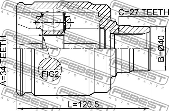 Febest 0311-CL20RH - Kardan, Pogonska osovina www.molydon.hr