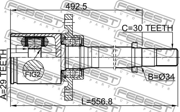 Febest 0211-T31ATRH - Kardan, Pogonska osovina www.molydon.hr