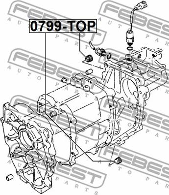 Febest 0799-TOP - Čep kartera www.molydon.hr