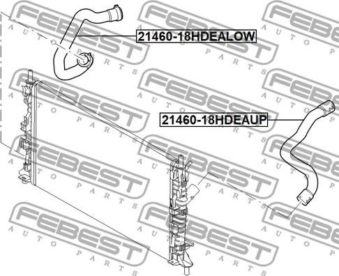 Febest 21460-18HDEALOW - Crijevo rashladne tekućinu www.molydon.hr