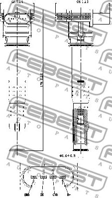 Febest 23640-001 - Indukcioni kalem (bobina) www.molydon.hr