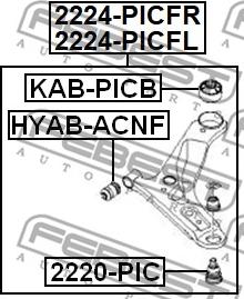 Febest 2224-PICFR - Rame, Nezavisna poluga za ovjes kotača www.molydon.hr