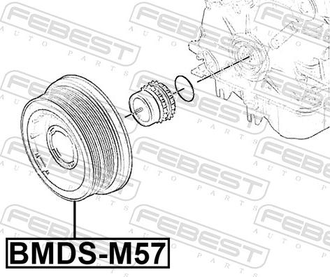 Febest BMDS-M57 - Remenica, radilica www.molydon.hr