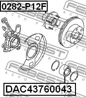 Febest DAC43760043 - Ležaj kotača www.molydon.hr