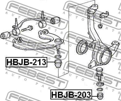 Febest HBJB-213 - Set za popravak, gornja/donja kugla www.molydon.hr