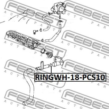 Febest RINGWH-018-PCS10 - Brtva, prirubnica za rashladnu tekućinu www.molydon.hr