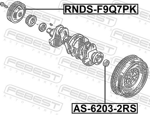 Febest RNDS-F9Q7PK - Remenica, radilica www.molydon.hr