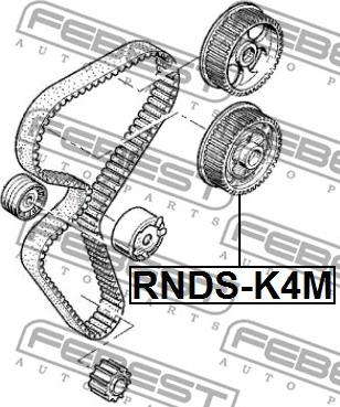 Febest RNDS-K4M - Podešavanje bregastog vratila www.molydon.hr