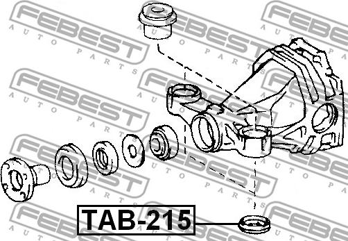 Febest TAB-215 - Ležište | Držač | Uležištenje, diferencijal www.molydon.hr