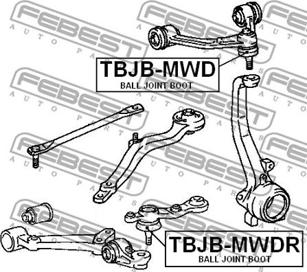 Febest TBJB-MWD - Set za popravak, gornja/donja kugla www.molydon.hr