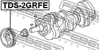 Febest TDS-2GRFE - Remenica, radilica www.molydon.hr