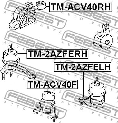 Febest TM-ACV40RH - Nosač motora www.molydon.hr