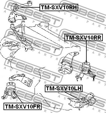 Febest TM-SXV10RR - Nosač motora www.molydon.hr