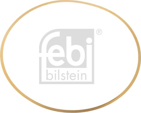 Febi Bilstein 49541 - Brtva, kosuljica cilindra www.molydon.hr