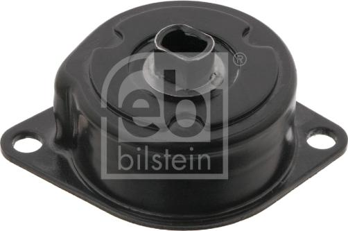 Febi Bilstein 30989 - Natezač remena, klinasti rebrasti remen  www.molydon.hr