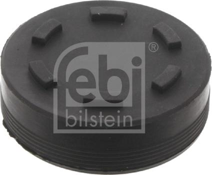 Febi Bilstein 32255 - Poklopac sa zatvaračem, bregasta osovina www.molydon.hr