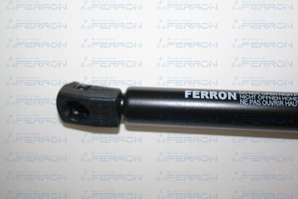 FERRON 1349 - Plinski amortizer, prtljaznik/utovarni prostor www.molydon.hr