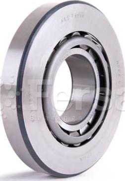 Fersa Bearings F 15193 - Ležaj kotača www.molydon.hr