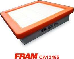 FRAM CA12465 - Filter za zrak www.molydon.hr