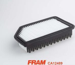 FRAM CA12489 - Filter za zrak www.molydon.hr