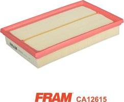 FRAM CA12615 - Filter za zrak www.molydon.hr