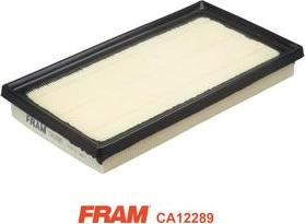 FRAM CA12289 - Filter za zrak www.molydon.hr