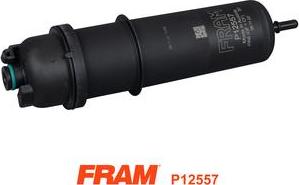 FRAM P12557 - Filter za gorivo www.molydon.hr