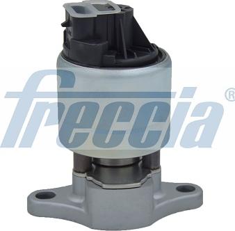 Freccia EGR12-111 - EGR ventil www.molydon.hr