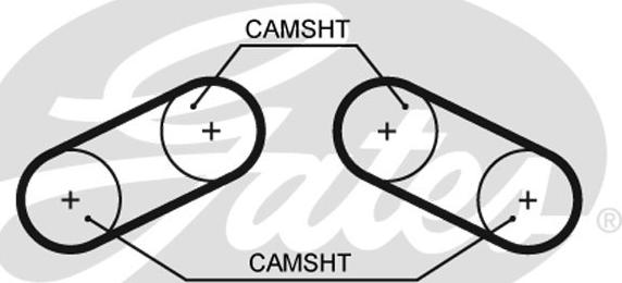 Gates 5526XS - Zupčasti remen  www.molydon.hr