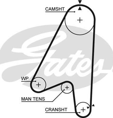 Gates 5239 - Zupčasti remen  www.molydon.hr