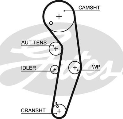 Gates K065569XS - Komplet zupčastog remena www.molydon.hr