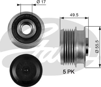 Gates OAP7079 - Remenica, alternator www.molydon.hr